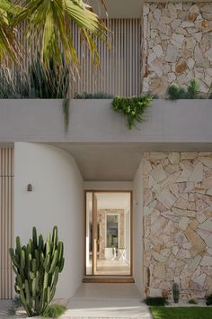 an entrance to a modern home with cactus in the foreground and stone walls on either side