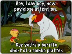 cartoon character with caption that reads, boy, i say boy pay close attention to me cause you're a burrito short of a combination plate