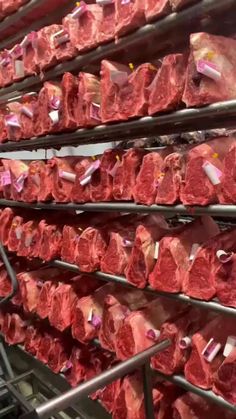 several racks of raw meat are shown in this image