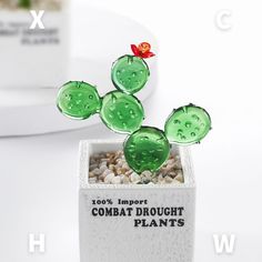 a green cactus plant sitting on top of a white table