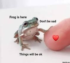 A Frog, The Frog, Memes, Funny, Red