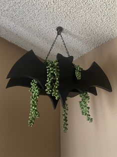 a black bat hanging from the ceiling with green plants growing on it's side