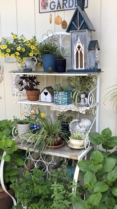 a shelf filled with lots of potted plants next to a wall mounted birdhouse