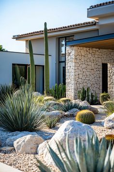 an outside view of a house with cactus and rocks in the foreground, along with other plants