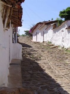 a dog is laying down on the cobblestone road in front of white buildings