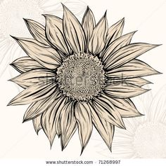 a sunflower on a white background with flowers in the back ground and an ornate design