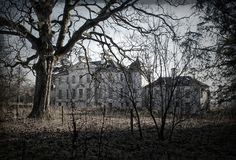 an old abandoned house in the woods with no leaves on the ground and bare trees