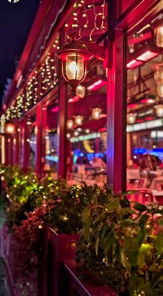 an outdoor restaurant with potted plants and lights