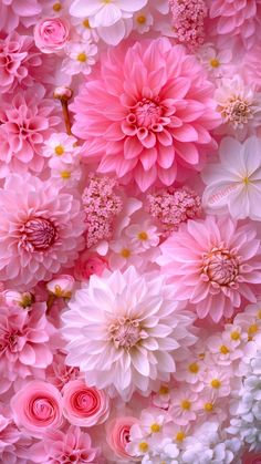 pink and white flowers are arranged together in the shape of a flower arrangement on a wall