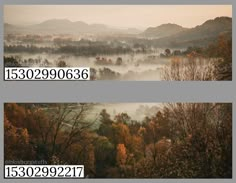 two pictures with trees and mountains in the background, one has fog on the ground