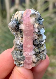 Natural Pink Colour Apatite Crystal specimen on Muscovite from Nagar Mine Gilgit Baltistan  It's perfect self standing and aesthetic specimen. Weight. 23 Grams  Size. 40*23*21 mm   Treatment. Natural  Origin: Nagar Mine Gilgit Baltistan  Video/Pic. Daylight  Express Shipping Fantasy Plant, Crystal Specimens, Apatite Crystal, Crystal Aesthetic, Gilgit Baltistan, Crystal Formations, Pretty Rocks, Cool Rocks, Minerals And Gemstones