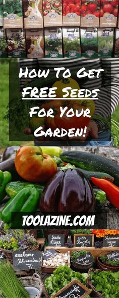 several different types of vegetables on display with the words how to get free seeds for your garden