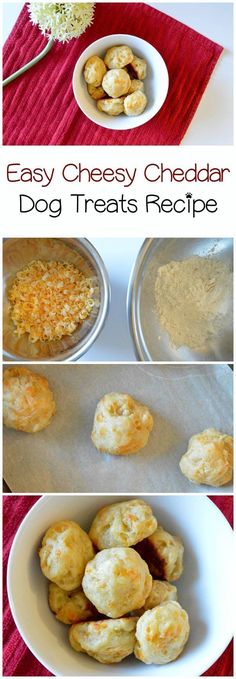 an easy cheesy dog treat recipe is shown