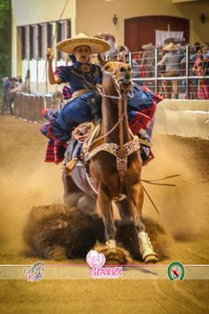 a man riding on the back of a brown horse