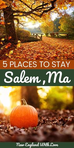 autumn leaves and trees with the words 5 places to stay salem, ma