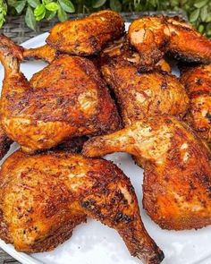 chicken wings on a white plate with green plants in the backgroung area