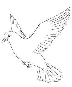 a bird flying with its wings spread