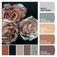 three pink roses are in the center of this color swatch with brown and gray tones