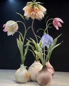 three different types of flowers in vases on a table