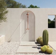 an outdoor shower with two cactus plants in the foreground and a white stucco wall behind it