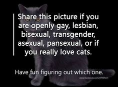 Lgbt Memes, Lgbt Love, Lgbtq Pride, Lgbt Pride, Catwoman, Gay Pride, The Words