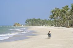 a person walking on the beach with palm trees in the background