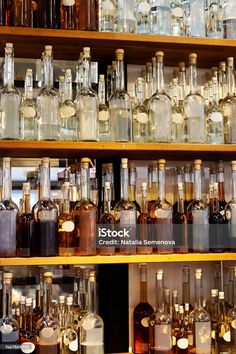 many bottles are lined up on the shelves