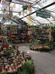 the inside of a flower shop filled with lots of potted plants