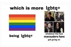 a rainbow flag with the caption which is more lgbt