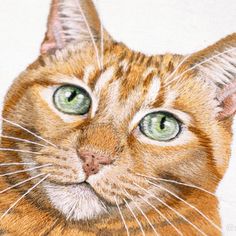 a drawing of a cat with green eyes