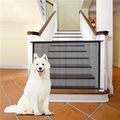 a white dog sitting in front of a stair gate