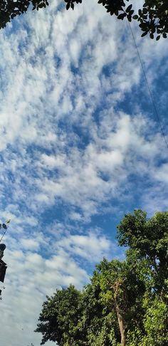 there is a kite flying high in the sky above some trees and people on the street