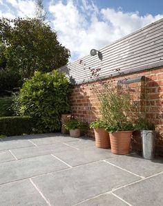 several potted plants sitting on the side of a brick building