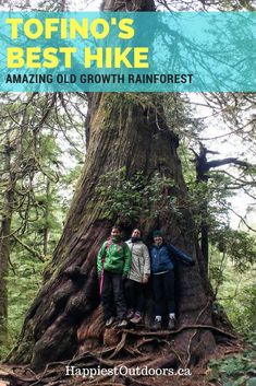 three people standing in front of a large tree with the title, tofino's best hike amazing old growth rainforest