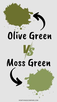 olive green vs moss green poster with arrows pointing in different directions and the words olive green versus moss green