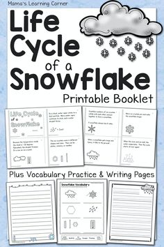 the life cycle of a snowflake printable booklet for kids and adults