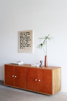 a plant sitting on top of a wooden cabinet next to a wall mounted art piece