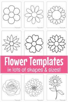 flower templates in lots of shapes and sizes