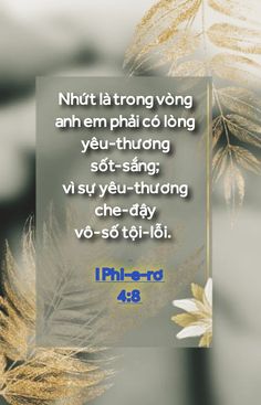 an image with the words in thai on it and some feathers flying around them, as well