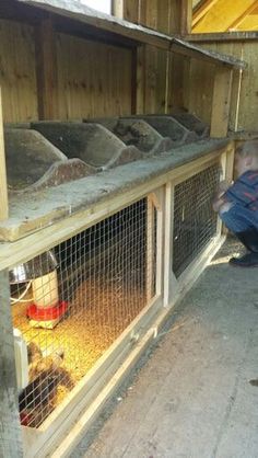 a chicken coop with several chickens in it