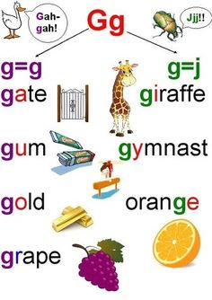 an orange, grapes, giraffe, grapefruit and other words are arranged in the shape of a house