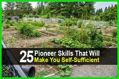 a garden filled with lots of plants next to a fenced in area that says 25 power skills that will make you self sufficient