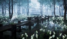 white birds sitting on wooden benches in the middle of a swamp filled with water lilies