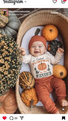 The Cutest Pumpkin In The Patch, Newborn Photography Pumpkin, Newborn Pumpkin Costume, Pumpkin Infant Pictures, 3 Month Old Pumpkin Pictures, October Newborn Outfits, 1 Month Old Halloween Pictures, 3 Month Old Fall Photoshoot, Fall Picture Ideas For Babies