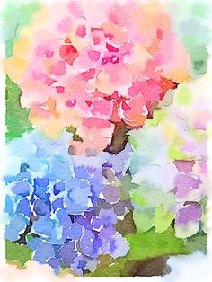 watercolor painting of colorful flowers in a vase