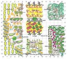 an image of different plants and vegetables on a sheet with numbers in the middle, including tomatoes, lettuce, broccoli, carrots, beans, peas