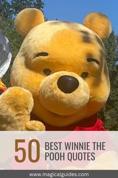 Winnie the Pooh quotes Inspirational, Winnie the Pooh quotes friendship, Winnie the Pooh quotes love, Winnie the Pooh quotes funny, and Winnie the Pooh quotes Wisdom.