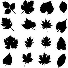 black silhouettes of leaves on white background