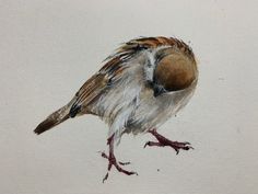 a painting of a bird with brown and white feathers on it's head, standing in front of a white background