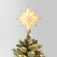 a small christmas tree with a star decoration on it's top and lights around the base